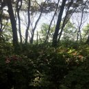 해국식품 복쟁이 | 식품 사용 안 되는 복어알을 첨가한 식품 제조.판매, 복어환.추출액에 항암효과 허위 광고 등 4개 업체...