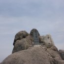 달빛자락 이미지