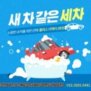 사파동350 | 출장세차 내장 관리 전문 ☆플러스 카 케어 2호점☆ 밴츠 CLS 350 곰팡이 제거 실내 클리닝 출장 시공 후기