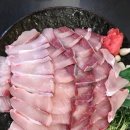 동네맛집 티스토리