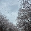 개좌길 네이버블로그