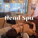 앙포레모리노 | 의정부헤드스파 앙포레모리노헤어 의정부점