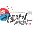 국가대표 하늘차기 태권도장 이미지