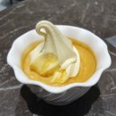 주주총회 | 맥쿼리인프라 주주총회 후기♡