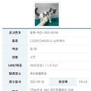 옥천동물병원 이미지