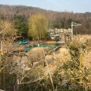 에버랜드 신규 프로그램, 리버 트레일 어드벤처 후기