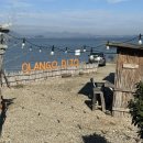 올랑고디또 이미지