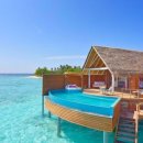 몰디브커피 이미지