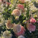 그랜드잼 이미지