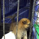 늘푸른농원 이미지