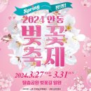 [코드엠] 2024 안동벚꽃축제 이미지