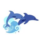 돌핀 이미지