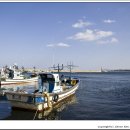 사천항포구 이미지