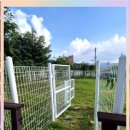 고양이 별 이미지