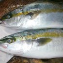 대물축산 이미지