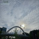 GS25 고양점 네이버블로그