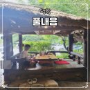 풀내음 | 강원도 평창 여행 애견동반 메밀 맛집 풀내음 솔직후기