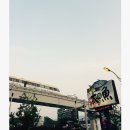 대어초밥