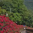 GS25단양신창점 이미지