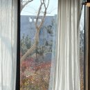 영종점더카페