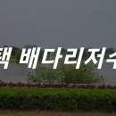평택시 배다리저수지3 이미지