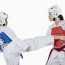 역북 경희대 태권도장 이미지