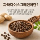 그레인 티스토리