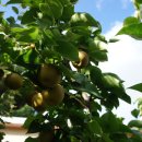 동화숲민박 이미지