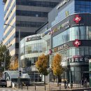 리볼리치과의원 이미지