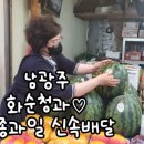 싱싱청과 - 안산시 단원구 원본로1길 21-1 | 싱싱청과