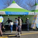 태백산맥거리1 이미지