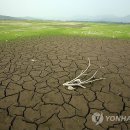 우리나라 이미지