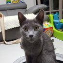 대가미공원 이미지