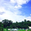 도그베이 이미지