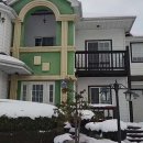 안면애견펜션프리독 이미지