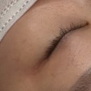 단구초교길 | [인테리어 분위기부터 실력까지 만족한 이서 뷰티 vip 속눈썹 펌]