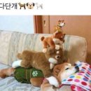 무무안경 이미지