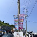 2024 서천 홍원항 전어꽃게축제 역대급 인생꽃게와 홍원항 맛집 후기