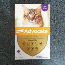 청려원동물병원 | 수원 청려원 고양이 강아지 애드보킷 가격 - 심장사상충 약 바르는 방법 주기