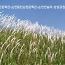 용두산장 이미지