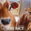 요한목장 이미지