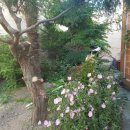 낚시터민박 이미지