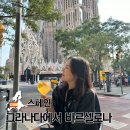 이동 | 스페인 그라나다에서 바르셀로나 대중교통 이용 방법 비행기 이동 후기
