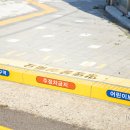 신광초등학교 앞 횡단보도 이미지