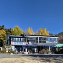 봉사단 환경보호 캠패인 및 자연정화 활동과 단합대회 이미지