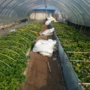 어부네농장 이미지