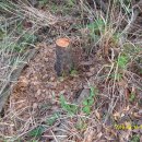 준 농장 이미지