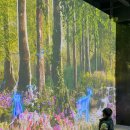 동탄순환대로 24길L | 화성 동탄 아이랑캠핑, “무봉산자연휴양림” 야영데크에서 설중캠핑까지