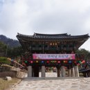 흥령선원지 이미지