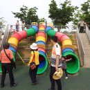 울산대공원 장미축제 [ 2012.06.01 ~ 06.07 ] 이미지